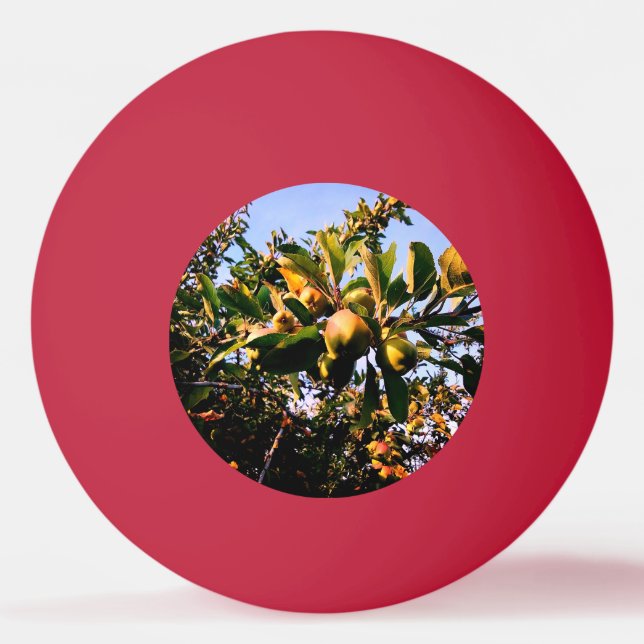 Bolinha De Ping Pong Maçãs (Frente)
