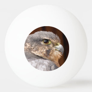 BOLINHA DE PING PONG MERLIN FALCON BIRD OF PREY