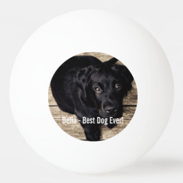 Bolinha De Ping Pong Nome preto personalizado da foto do cão do
