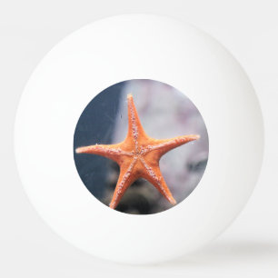 Bolinha De Ping Pong Nunca pergunte a uma estrela as direções do peixe