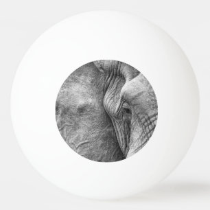 Bolinha De Ping Pong O olho de um elefante