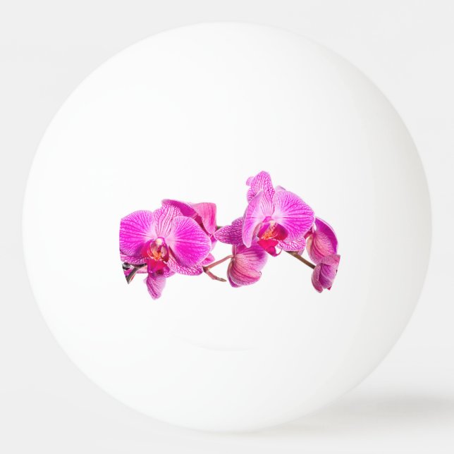 Bolinha De Ping Pong Orquídea (Verso)