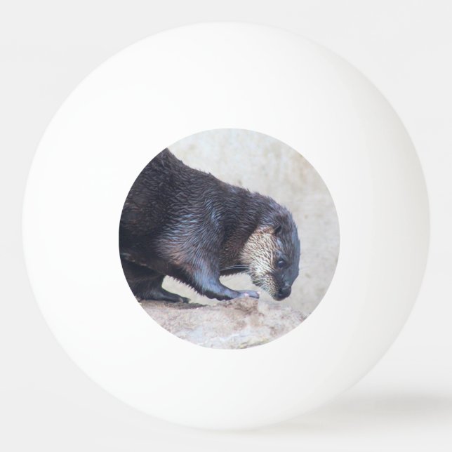 Bolinha De Ping Pong Otters (Frente)