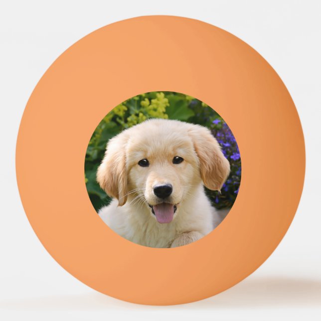 Bolinha De Ping Pong Ouro Retriever Baby Dog Puppy Engraçado Foto Pet * (Frente)