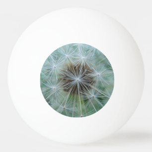 Bolinha De Ping Pong Padrão de dandelion branco