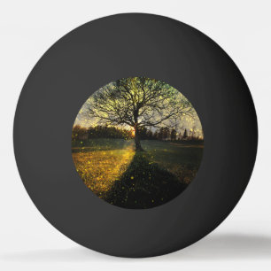 Bolinha De Ping Pong Paisagem com sonhos de vagalumes mágicos