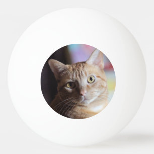 Bolinha De Ping Pong Penny