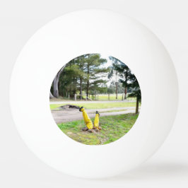 Bolinha De Ping Pong Perdido no Jardim de novo