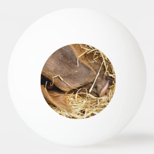 BOLINHA DE PING PONG PIG CUTO