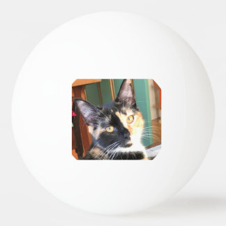 Bolinha De Ping Pong Ping Pong de Ruby