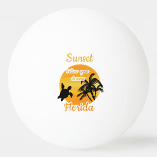 Bolinha De Ping Pong Pôr do sol bonito na Flórida