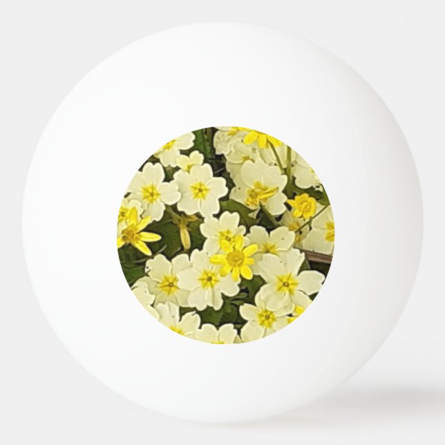 Bolinha De Ping Pong Primavera Primroses (Frente)