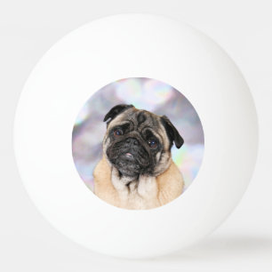 Bolinha De Ping Pong Pug - Willy