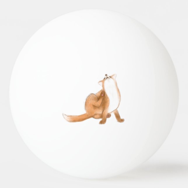 Bolinha De Ping Pong Raposa (Frente)