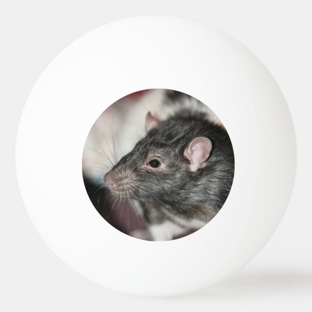 Bolinha De Ping Pong Rato (Frente)