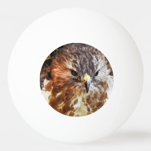 BOLINHA DE PING PONG RED TAILED HAWK