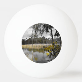 Bolinha De Ping Pong Reflexões Por Baixo Do Céu Da Cinza