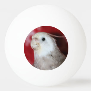 Bolinha De Ping Pong Réplicas