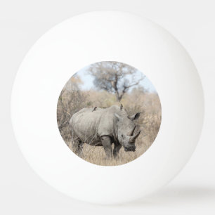 Bolinha De Ping Pong Rino Branco