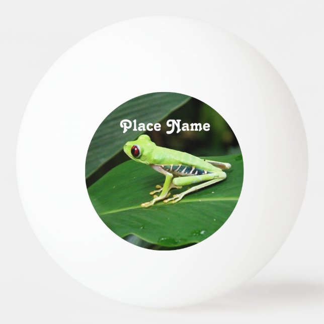 Bolinha De Ping Pong Sapo de árvore de Costa Rica (Frente)