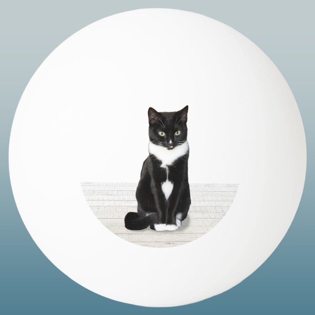 Bolinha De Ping Pong Seu Querido Pet Foto Lembrança (Custom cat photo pet lover ping pong ball)