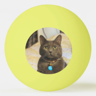 Bolinha De Ping Pong Sinais