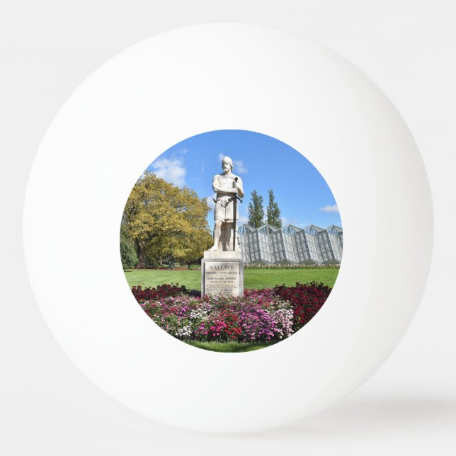 Bolinha De Ping Pong Sir William Wallace Statue (Frente)