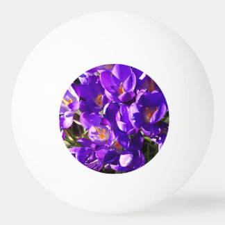 BOLINHA DE PING PONG SPRING CROCUS
