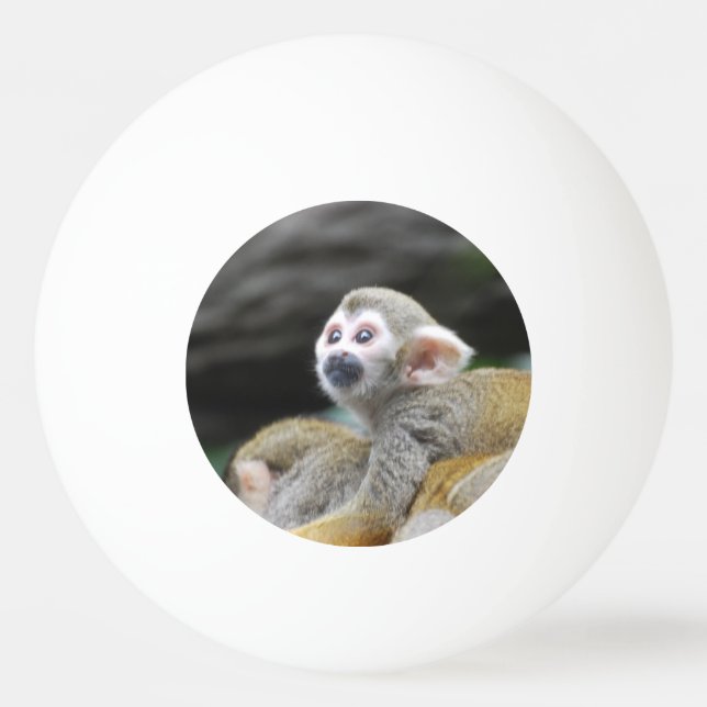 Bolinha De Ping Pong squirrel-monkey-39.jpg (Frente)