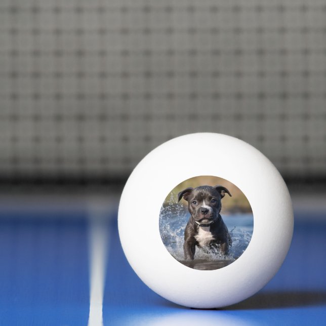 Bolinha De Ping Pong Staffy Puppy A Espalhar No Mar, (Líquido)