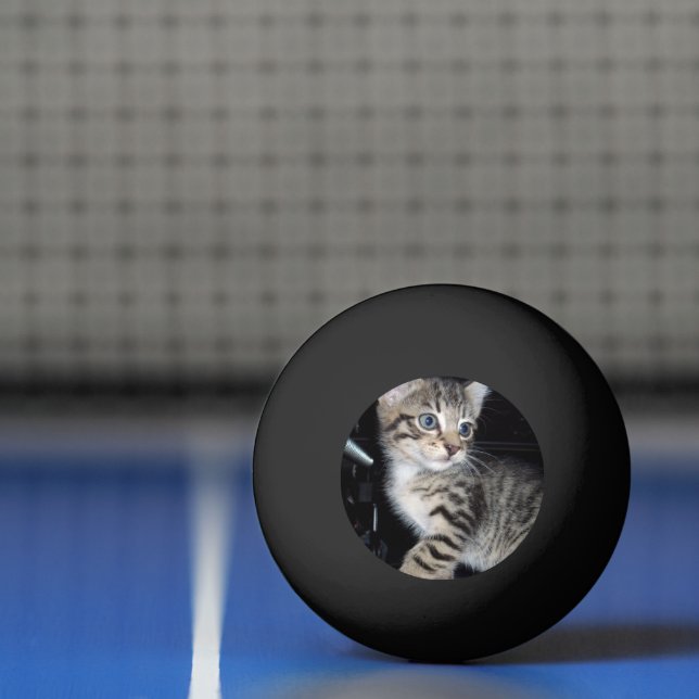 Bolinha De Ping Pong "Sussurros de Problemas: o Misquioso Tabby Kitten (Líquido)