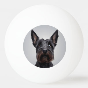 Bolinha De Ping Pong Terrier escocês