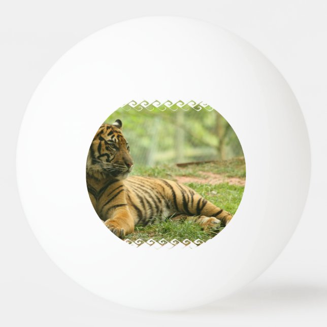 Bolinha De Ping Pong tiger-28 (Frente)