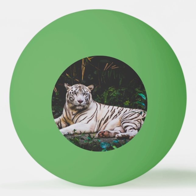 Bolinha De Ping Pong Tigre (Frente)