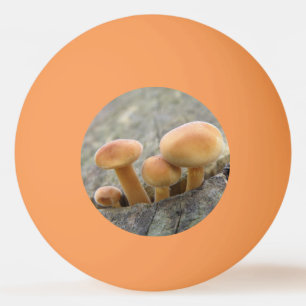 Bolinha De Ping Pong Toadstools em uma esfera de pinos do tronco de árv