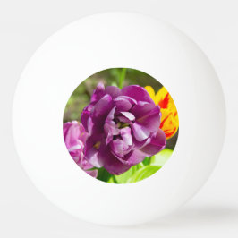 Bolinha De Ping Pong Tulipas lilás em um dia ensolarado   