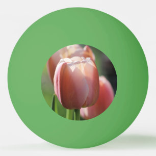 Bolinha De Ping Pong Tulipas Rosa