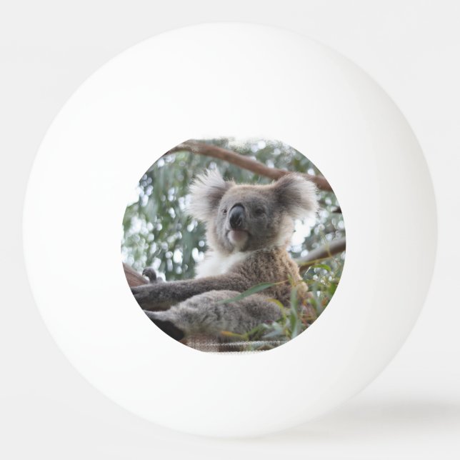 Bolinha De Ping Pong Urso de Koala (Frente)