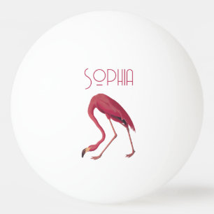 Bolinha De Ping Pong Vintage Pink Flamingo