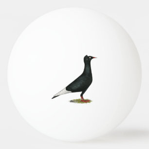 Bolinha De Ping Pong Voo Voo Voo Negro Boné Pombo