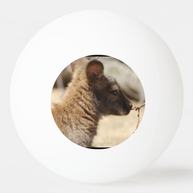 Bolinha De Ping Pong Wallaby doce (Frente)