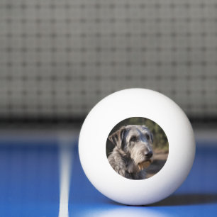 Bolinha De Ping Pong Wolfhound Irlandês Não Estou Amado,