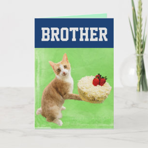 BOLO DE ANIVERSÁRIO DO IRMÃO GATO CARTÃO DE FELICI