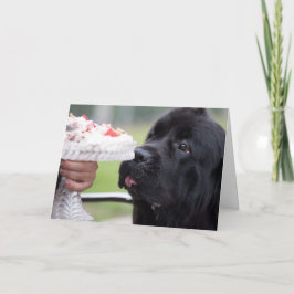 Bolo de aniversário e cartão de cachorro
