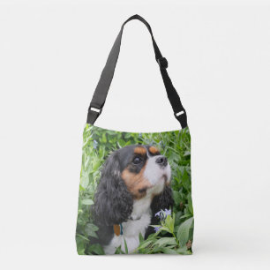 Bolsa Ajustável Cavaleiro Tricolor Rei Charles Spaniel