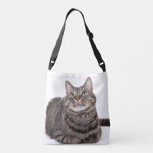Bolsa Ajustável Cinza Tabby Cat