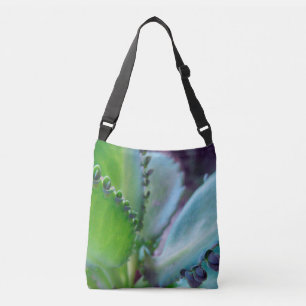 Bolsa Ajustável Cores de Kalonchoe