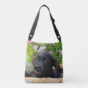 Bolsa Ajustável Foto de Pet Pet, Cão-de-Cão-de-Cachorro Preto