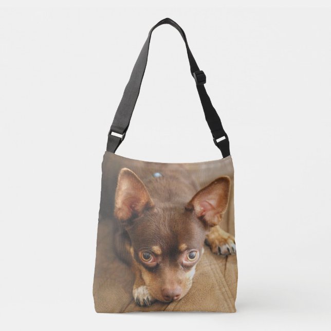 Bolsa Ajustável Olhos Chihuahua (Frente)