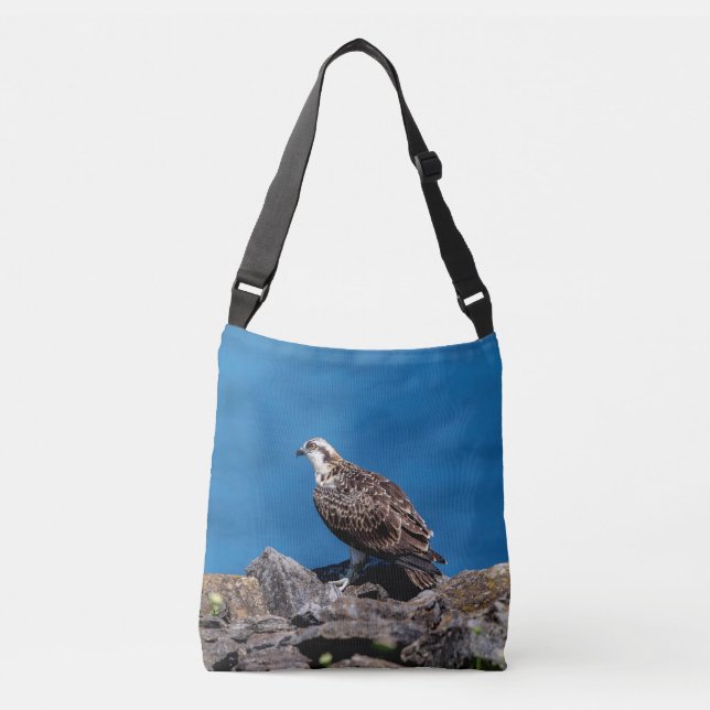 Bolsa Ajustável Osprey nas rochas (Frente)